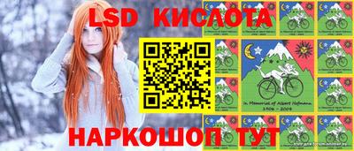 шишки Будённовск