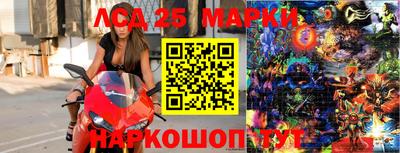 шишки Будённовск