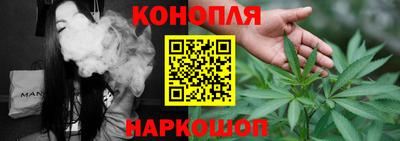 шишки Будённовск