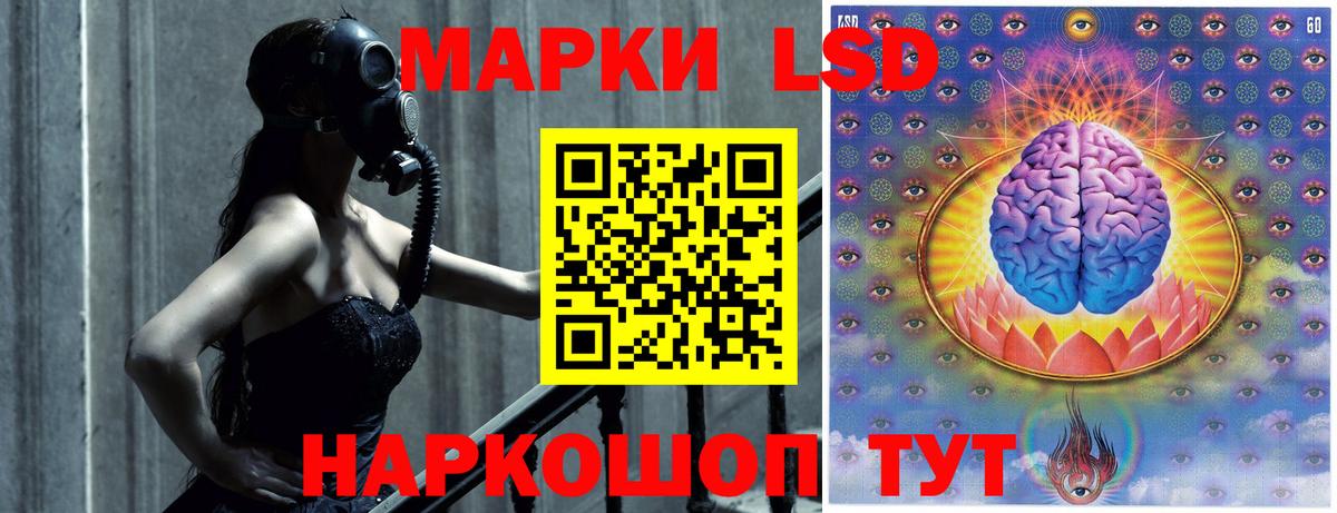 Лсд 25 экстази кислота  Вход с VPN  Кузнецк 
