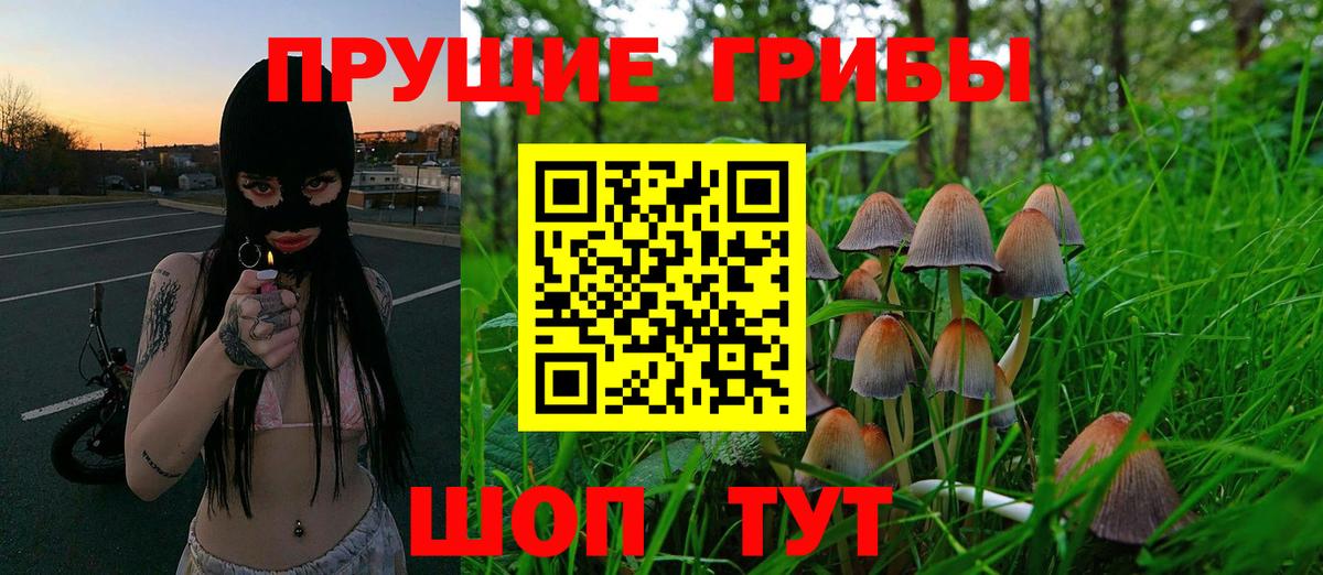 Псилоцибиновые грибы Cubensis Кузнецк