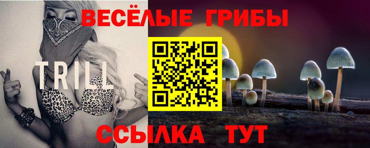 Галлюциногенные грибы прущие грибы  Вход с VPN  Кузнецк 